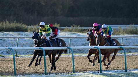 Form and Entries for Horse Tadreeb (IRE) .